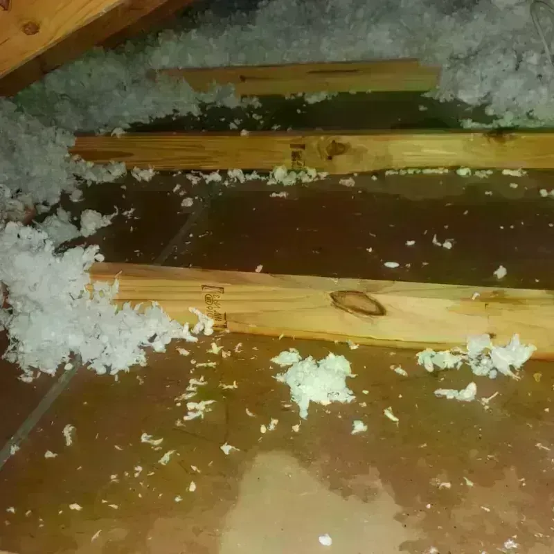 Attic Water Damage in Lewisville, AR